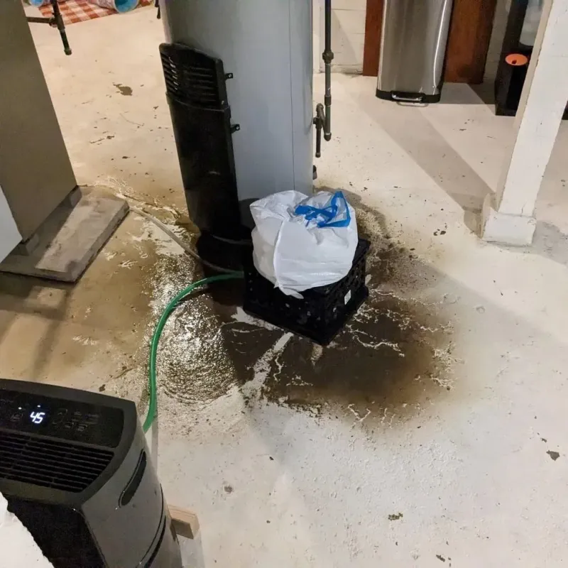 Sewage Backup Cleanup Service in Chambers County, AL